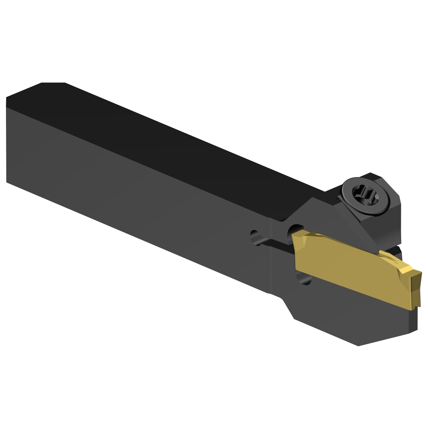 C2R-QS10-LE10DS           CoroCut® 2 QS shank tool for parting and grooving