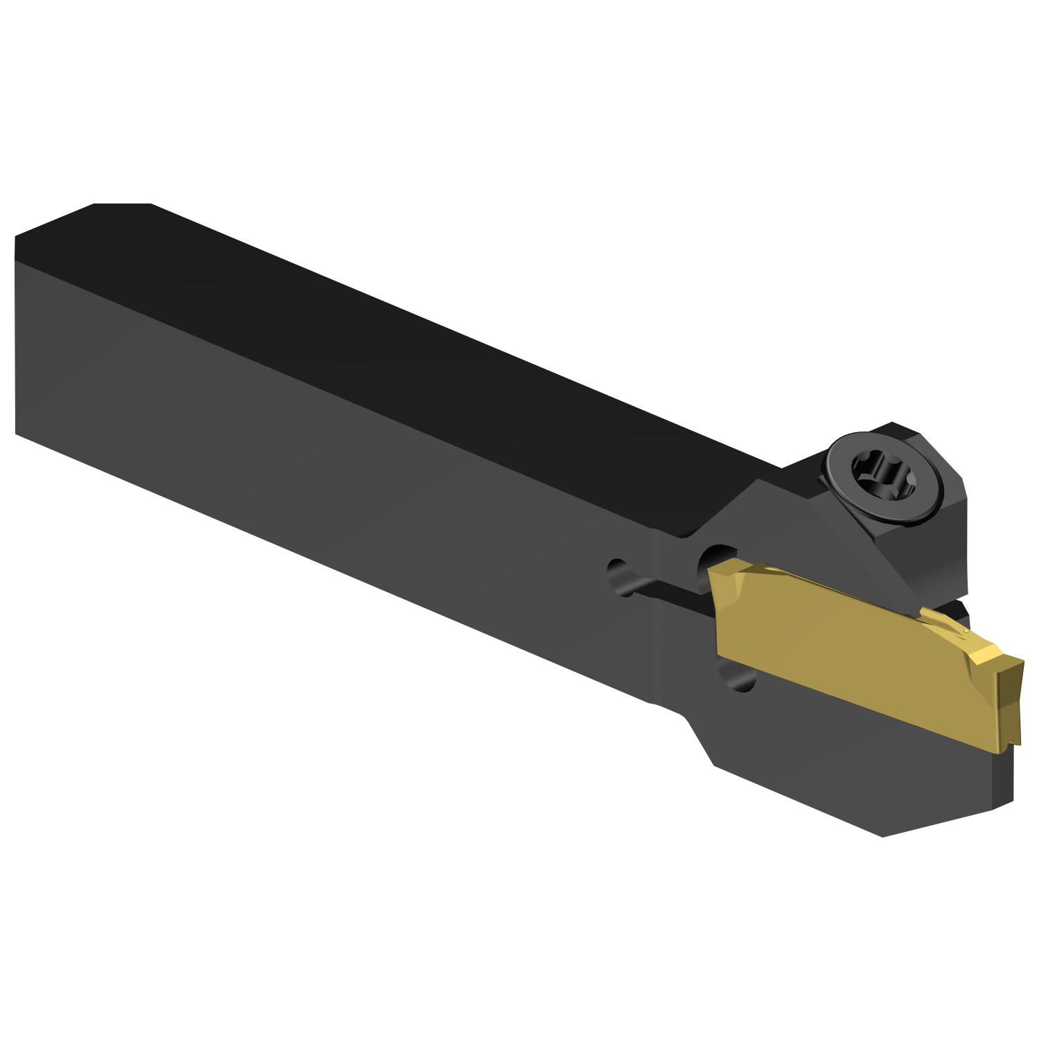 C2R-QSA06-LE10DS          CoroCut® 2 QS shank tool for parting and grooving