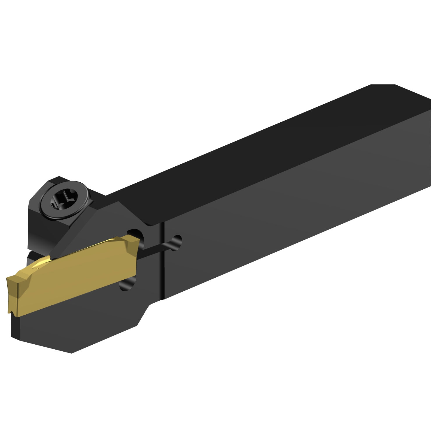 C2R-QS10-RE10DS           CoroCut® 2 QS shank tool for parting and grooving