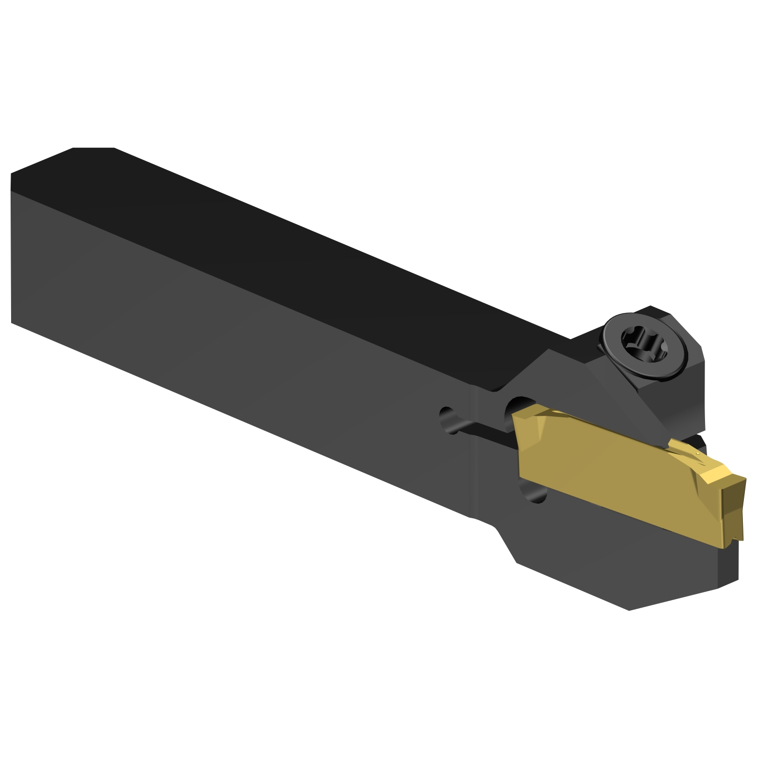 C2R-QS10-LF10DS           CoroCut® 2 QS shank tool for parting and grooving