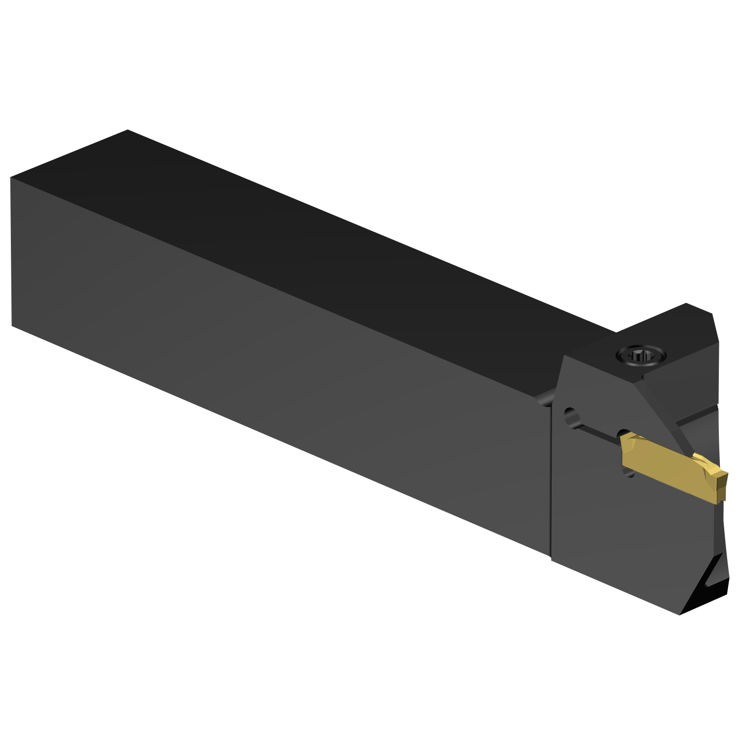 C2R-RS25-LF17DD           CoroCut® 2 shank tool for parting and grooving
