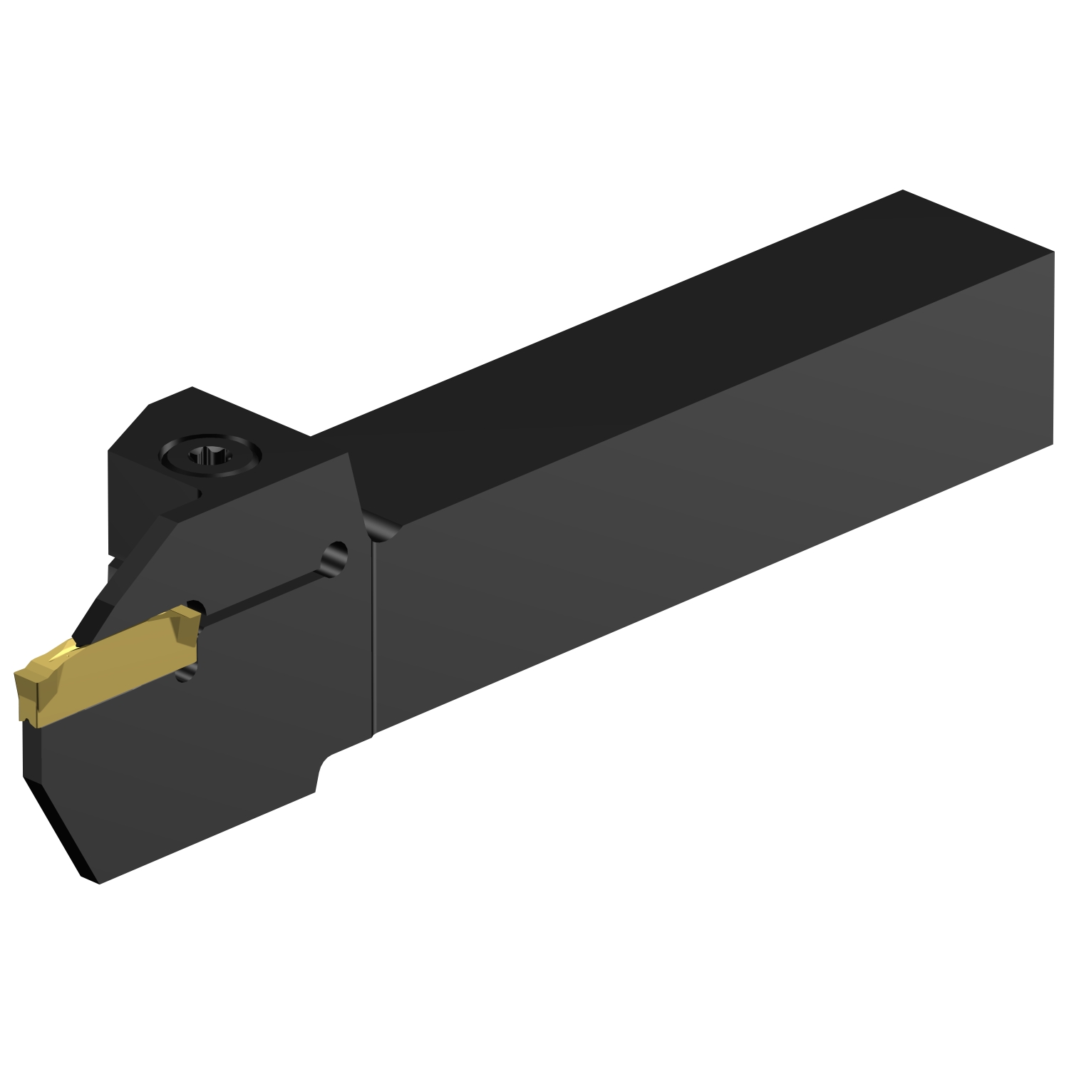 C2R-RSA12-RG22DD          CoroCut® 2 shank tool for parting and grooving