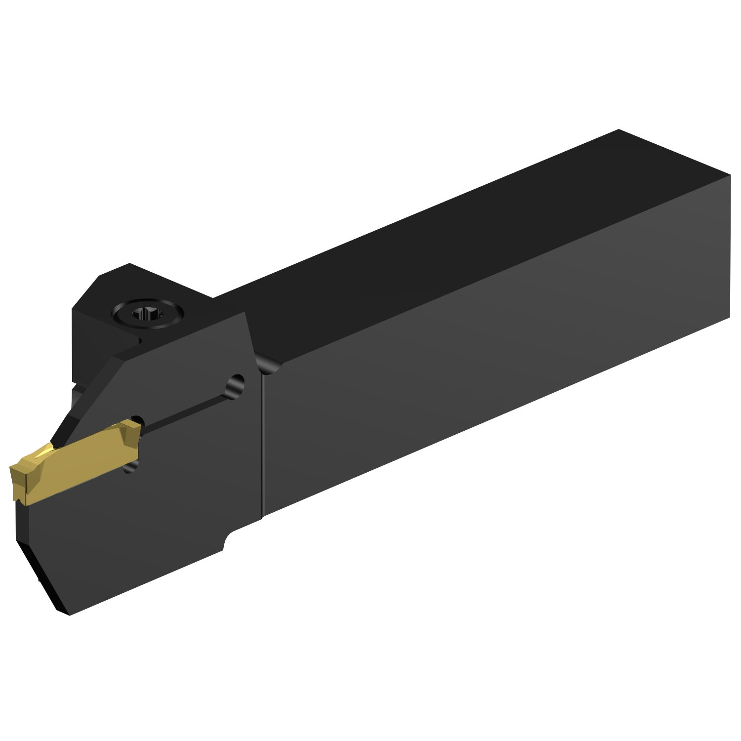 C2R-RS20-RG22DD           CoroCut® 2 shank tool for parting and grooving