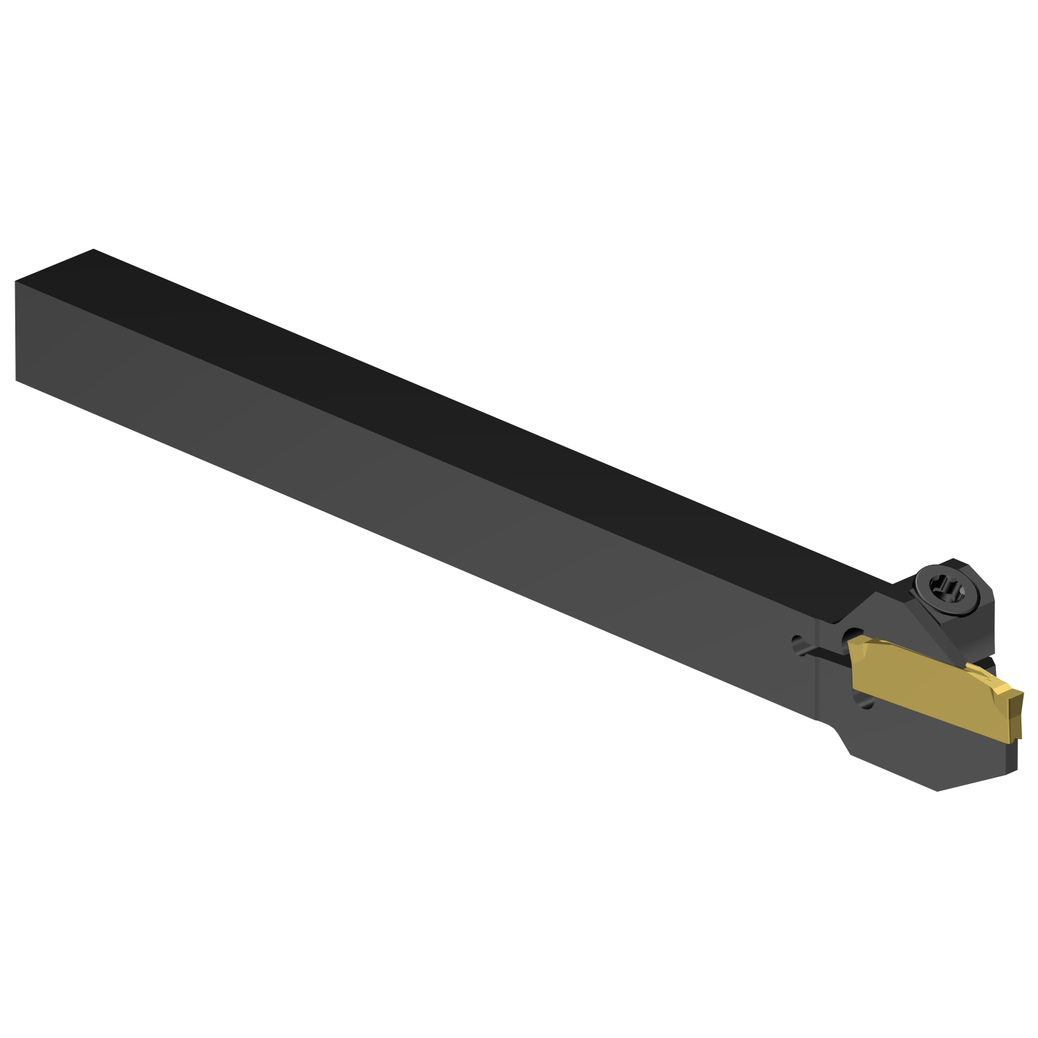 C2R-RS10-LE10DS           CoroCut® 2 shank tool for parting and grooving