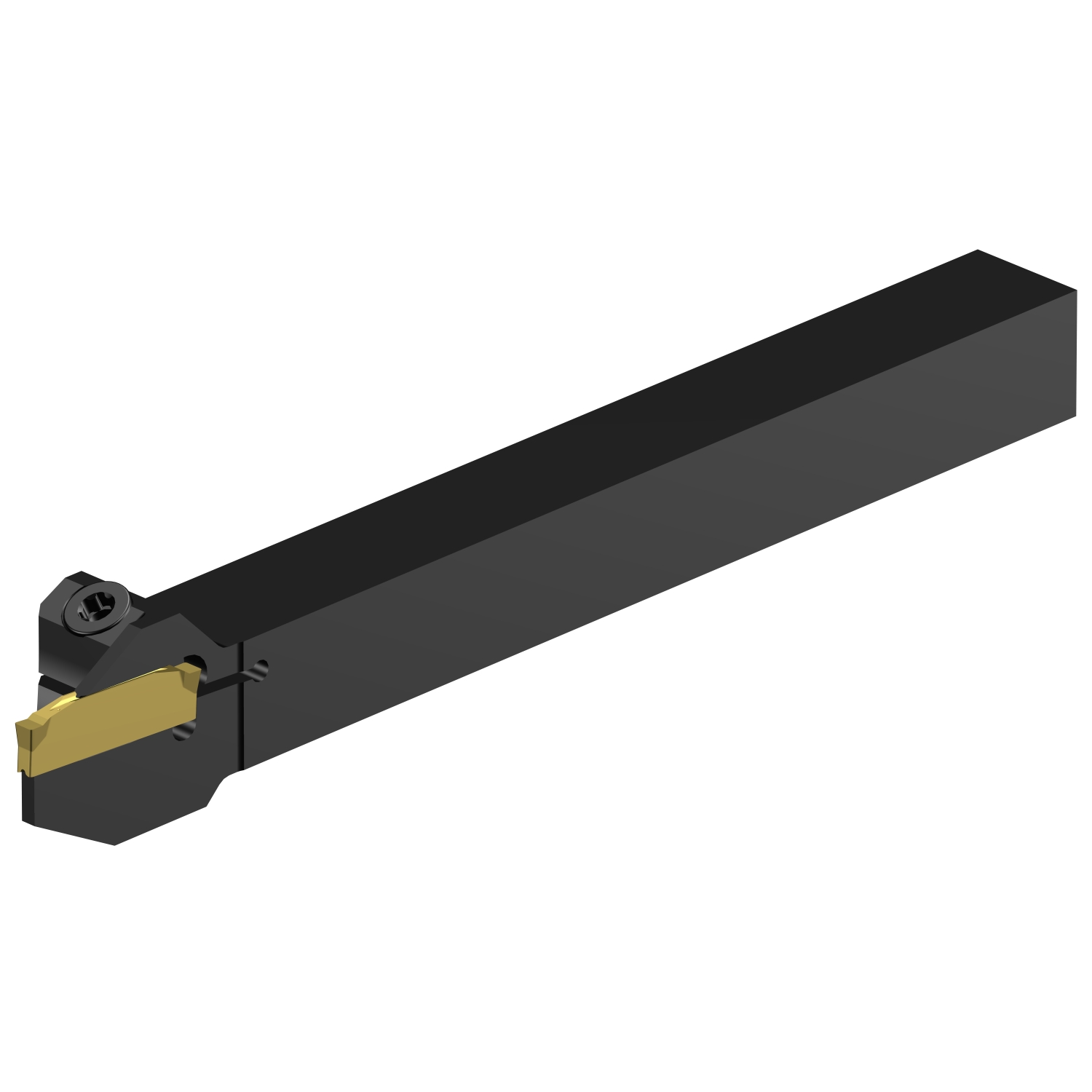 C2R-RS12-RE11DS           CoroCut® 2 shank tool for parting and grooving