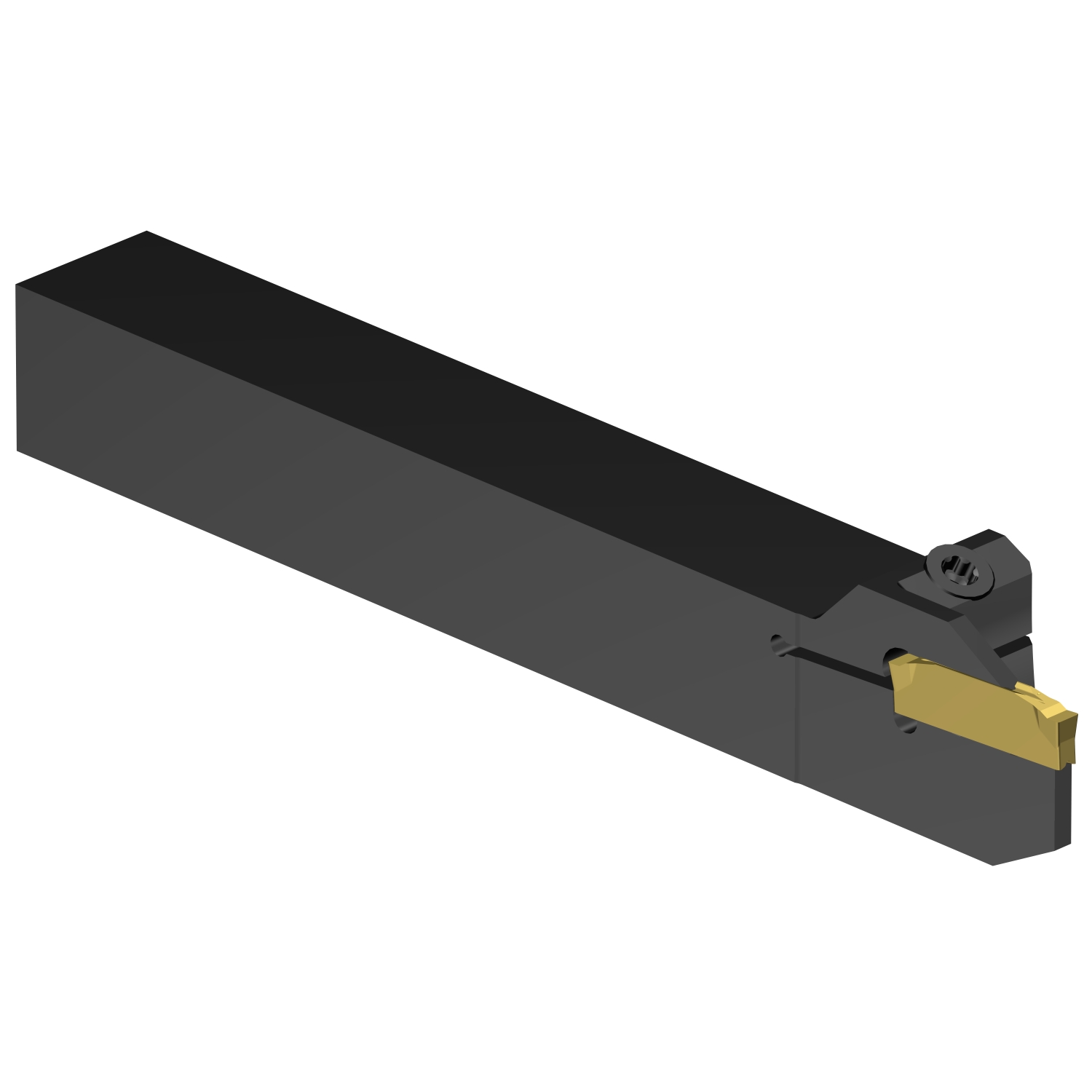 C2R-RSA10-LF17DS          CoroCut® 2 shank tool for parting and grooving