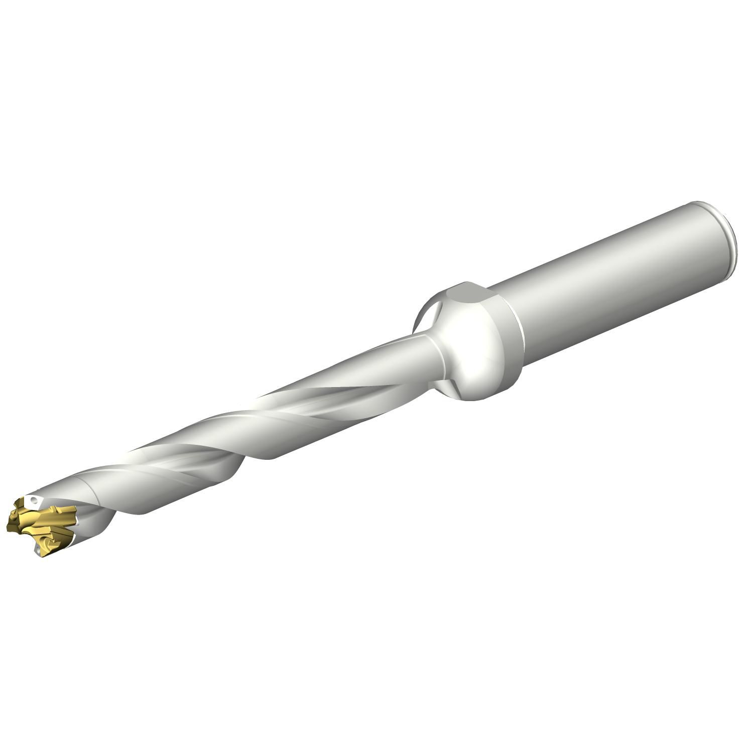 https://productinformation.sandvik.coromant.com/s3/documents/pictures/pict-3d-view-on-item-level/ext-large/294203831__1500X1500300Dpi.jpg