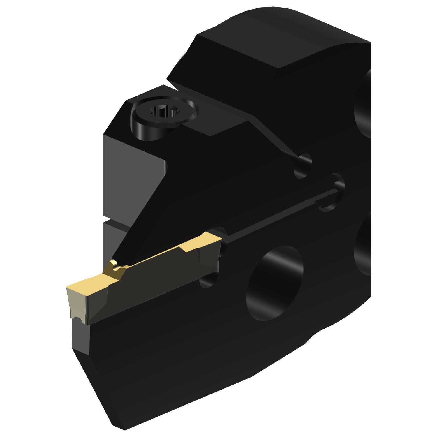 C2A-SL40-LGH18A-300GB