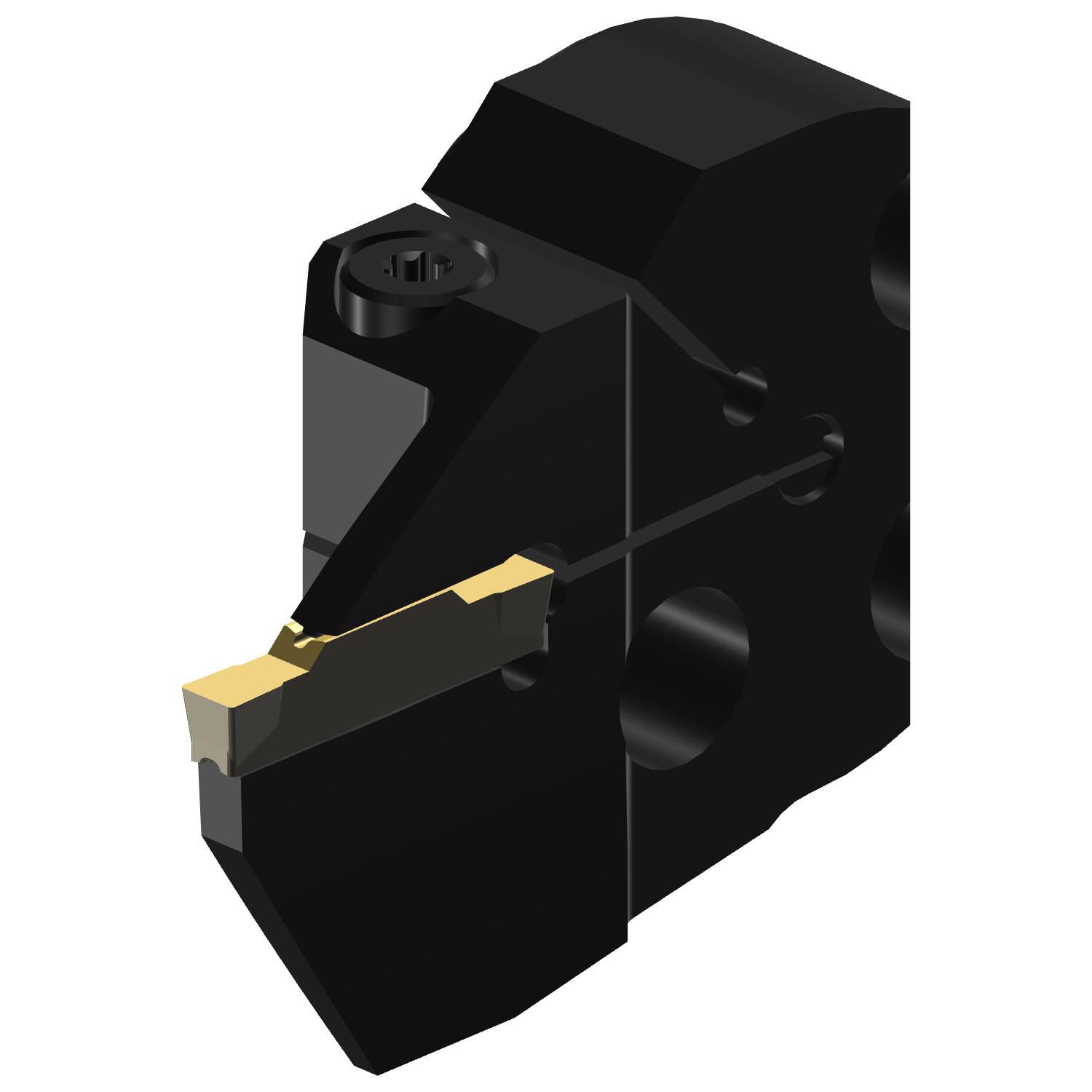 C2A-SL40-LGH18B-220GB