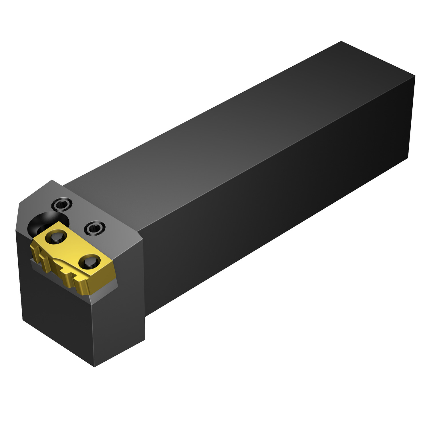 R166.39FG-3232-24  T-Max® Twin-Lock shank tool for thread turning