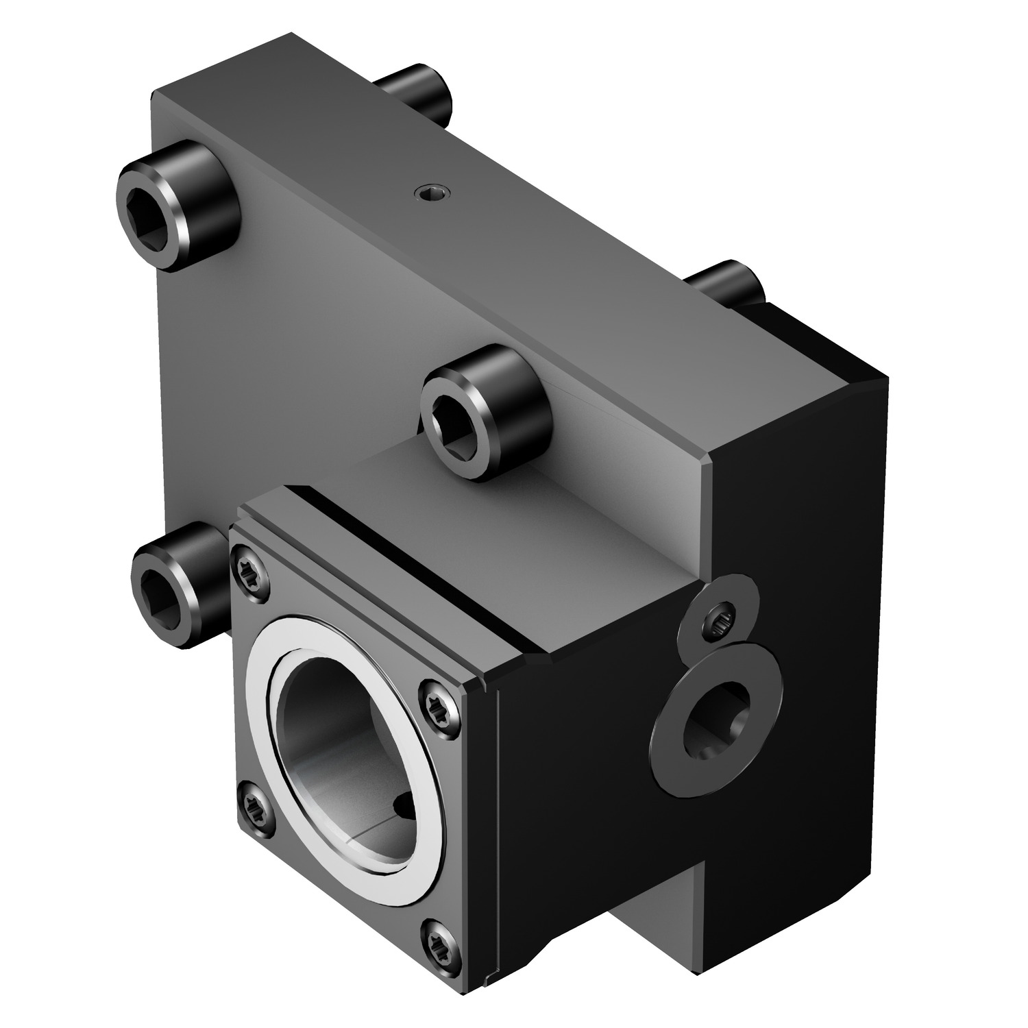 C4-TRE-BI55A Manual clamping unit for Biglia machines