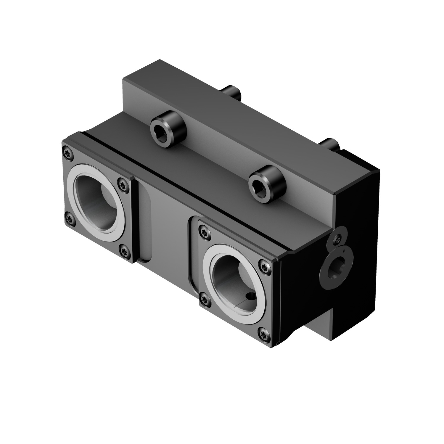 C4-TRE-BI55A-DT Manual clamping unit for Biglia machines