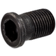 Hollow screw